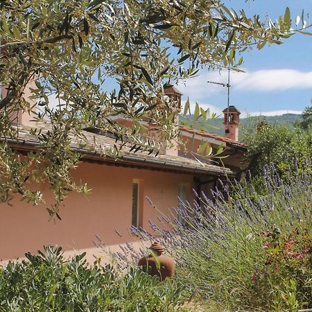 ארצו Tuscany Roses מראה חיצוני תמונה