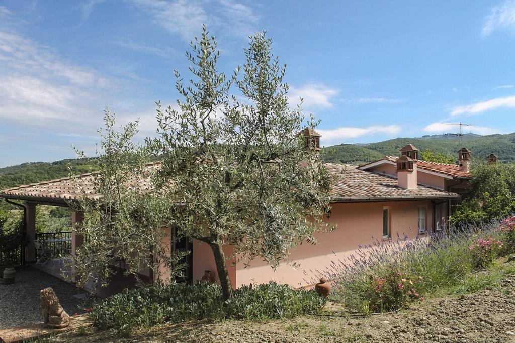 ארצו Tuscany Roses מראה חיצוני תמונה